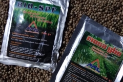 Penggunaan-agens-hayati-BIO-SPF-dan-MOSA-GLIO-saat-ini-menjadi-andalan-bagi-petani-lada-desa-gunung-seriang-kaltara