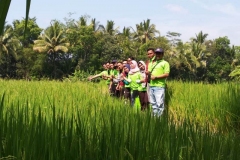 Pelatihan-budidaya-padi-dan-sayuran-organik-PPL-dinpertan-kab-seruyan-hari-III-des-2019-IMG-20191207-WA0086