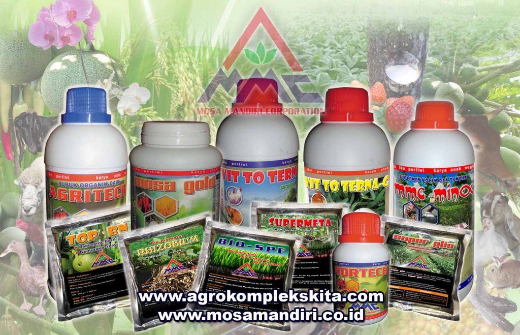 semua product new mosa mandiri dgn agrokomplesk