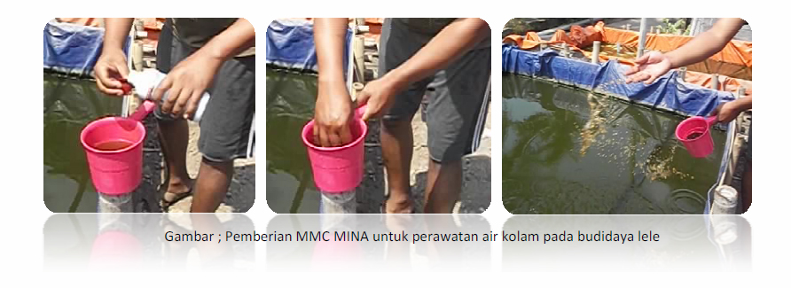  mmc mina untuk pengelolaan ekosistem kolam