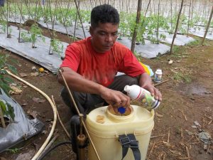 aplikasi penyemprotan pupuk daun agritech