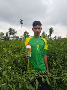 pupuk organik agritech untuk budidaya cabai