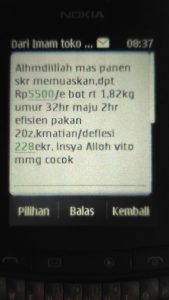 Whatsapp dari bapak imam tentang vitto terna